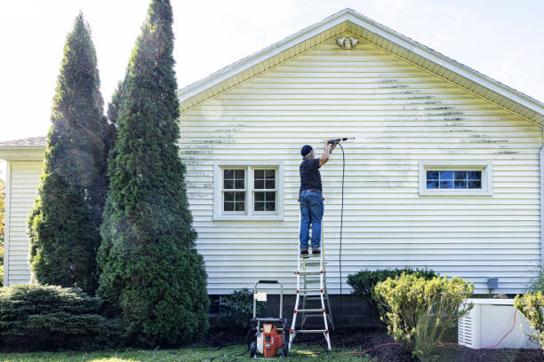 Best Solar Panel Cleaning  in Paoli, IN